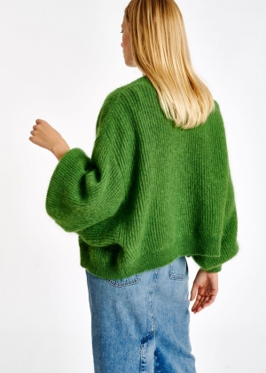 AG16 ANTI GREEN