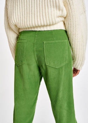 AG16 ANTI GREEN