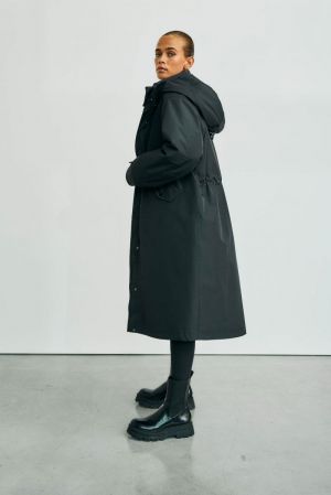 OLIVE NIGHT OLIVE NIGHT