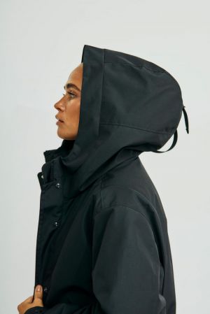 OLIVE NIGHT OLIVE NIGHT